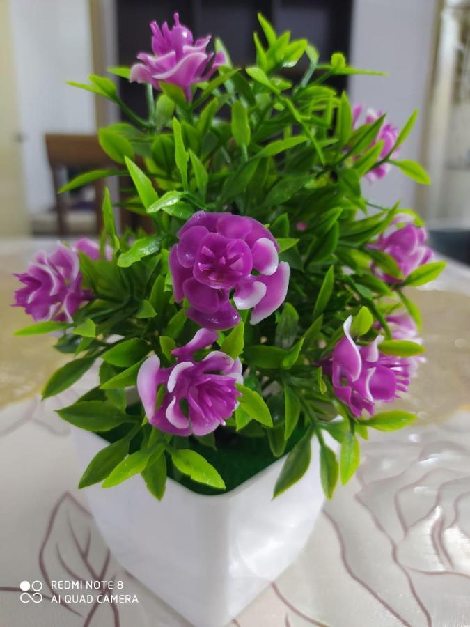Pd Laguna Blue & Purple Apartment