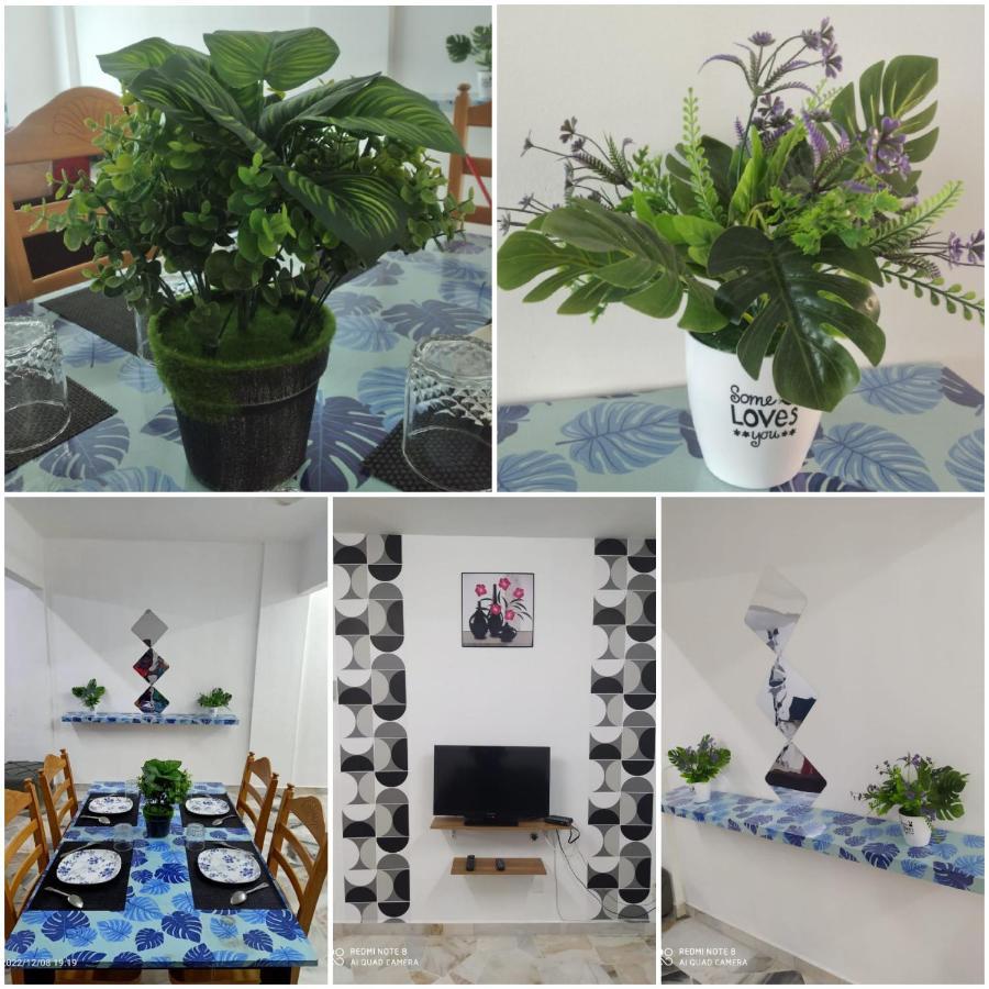 Apartment Pd Laguna Blue & Purple *
